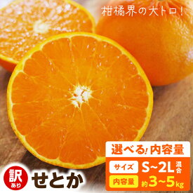 【ふるさと納税】【2027年先行予約】 訳あり せとか 選べる内容量 約 3kg 5kg S〜2Lサイズ混合 家庭用 トロリ食感 濃厚 ジューシー 甘い みずみずしい フルーツ 果物 産地直送 お取り寄せ 柑橘 和歌山県 湯浅町 送料無料