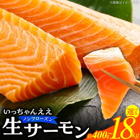 【ふるさと納税】生サーモン ノンフローズン 選べる 内容量 約 400g 1kg 1.8kg アトランティックサーモン 鮭 手作業 ノルウェー産 刺身 寿司 丼 サラダ 魚 海鮮 グルメ 冷蔵 お取り寄せ 和歌山県 湯浅町 送料無料