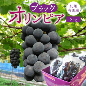 yӂ邳Ɣ[Łzy2026N s\z IBLcY ubNIsA (n`~cԂǂ) 2kg yԂǂ uhE  O[v t[c Yz