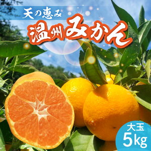 �y�ӂ邳�Ɣ[�Łz�V�̌b�� ���B�݂��� ���5kg�y�~�J�� ���� ���k ���B�݂��� �a�̎R�z