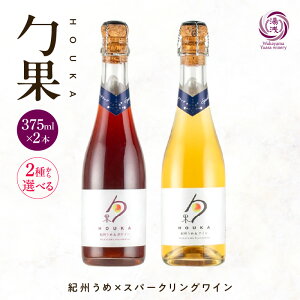 yӂ邳Ɣ[Łzyz C JNe Xp[NO ق 375ml × 2{ Iׂ  2 t[cC   IB Â 荂 [RN XbL H {Y AR[ 