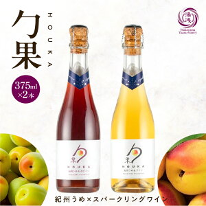 yӂ邳Ɣ[Łzyz C JNe ق IB  Xp[NOC   2 375ml × e1{ 7% Mtgt ʕ ԃC C uh Â {C Y Ö
