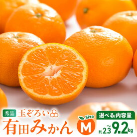 【ふるさと納税】【TVで紹介されました】 年内発送 高評価 秀品 有田みかん 選べる 内容量 Mサイズ 傷み補償 付き 約 2.5~10kg 温州みかん 柑橘 果物 果実 フルーツ 甘味 酸味 バランス 人気 期間限定 グルメ お取り寄せ グルメ 和歌山県 湯浅町