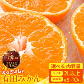 【ふるさと納税】【限定】【2026年先行予約】 みかん 大玉 どっこいしょ 2Lサイズ 以上 秀品 優品 混合 選べる 内容量 箱込 5kg 〜 10kg 有田みかん 和歌山県産 産地直送 みかんの会 フルーツ デザート お取り寄せ 和歌山県 湯浅町 送料無料