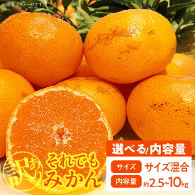 【ふるさと納税】【限定】 訳あり 家庭用 みかん サイズミックス B品 選べる 内容量 箱込 2.5kg 〜 10kg 有田みかん 和歌山県産 産地直送 みかんの会 フルーツ デザート お取り寄せ 和歌山県 湯浅町 送料無料