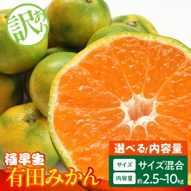 【ふるさと納税】【2026年先行予約】訳あり みかん 極早生 選べる 内容量 箱込 2.5kg 〜 10kg サイズ ミックス 優品 採れたて ごろごろ規格 有田みかん 新鮮 和歌山県産 フルーツ デザート 和歌山県 湯浅町 お取り寄せ お取り寄せフルーツ みかんの会 送料無料