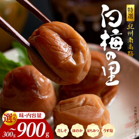 【ふるさと納税】特選 紀州南高梅 梅干し 白梅の里 選べる お味 昔しそ ほのか はちみつ うす塩味 内容量 300g ～900g 梅干 紀州 南高梅 しそ梅干 紫蘇 うす塩 減塩 塩分控えめ はちみつ梅 食品 お取り寄せ 和歌山県 湯浅町 送料無料