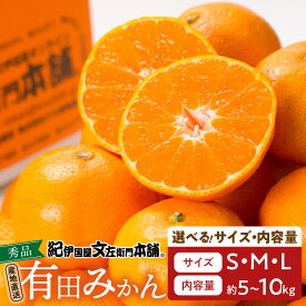 【ふるさと納税】高評価★4.59 有田みかん 秀品 選べる サイズ 内容量 S ~ L 5kg / 10kg コク 濃厚 ジューシー ノーワックス 温州みかん みかん フルーツ 柑橘 果物 果実 デザート 国産 食品 食べ物 期間限定 グルメ お取り寄せ お取り寄せフルーツ 和歌山県 湯浅町 送料無料