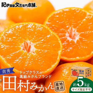 yӂ邳Ɣ[Łzyz c݂^5kgG^TCYwȂ^IBa̎RLcS󒬓cnY^ōv~Auh̓c~J^Iɍq{(͂ws)