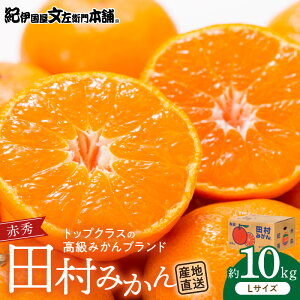 yӂ邳Ɣ[Łzc݂^IMtgi10kgyLTCYzԏG^IBa̎RLcS󒬓cnY^ōv~Auh̓c~J^Iɍq{(͂ws)