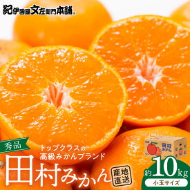 【ふるさと納税】【2026年先行予約】 期間限定 田村みかん 10kg 小玉サイズ 秀品 紀州 有田 田村 国産 みかん 柑橘 果物 果実 フルーツ ノーワックス 最高級 プレミアム ブランド 濃厚 高糖度 紀伊国屋文左衛門本舗 和歌山県 湯浅町 送料無料