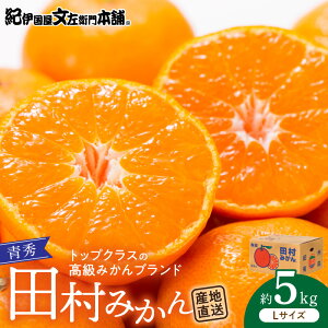 yӂ邳Ɣ[Łzc݂^5kgGyLTCYz^IBa̎RLcS󒬓cnY^ōv~Auh̓c~J^Iɍq{(͂ws)