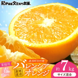 【ふるさと納税】【限定】 ご家庭用 バレンシアオレンジ 約 7kg サイズ混合 秀品 優品 並品 無選別 国産 オレンジ 安心 安全 希少 夏の柑橘 柑橘 果物 果実 フルーツ フレッシュ ほどよい甘さ キレ 夏 産地直送 お取り寄せ お取り寄せフルーツ 和歌山県 湯浅町 送料無料