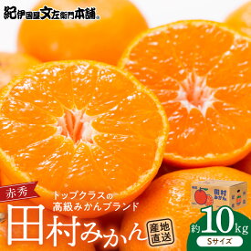 【ふるさと納税】【2025年先行予約】 田村みかん 約 10kg 赤秀 Sサイズ 特選ギフト品 高級 みかん 最高級 ブランドみかん ノーワックス 濃厚 甘さ 奥深い コク ギフト 贈り物 柑橘 果物 果実 フルーツ デザート お取り寄せ お取り寄せフルーツ 和歌山県 湯浅町 送料無料