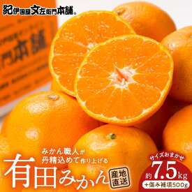 【ふるさと納税】有田みかん約7.5kg(+傷み補填分500g)=合計8kg【サイズおまかせ】／産地直送／紀伊国屋文左衛門本舗（お届け日指定不可）