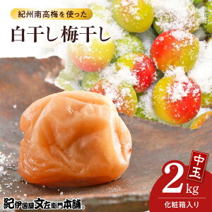 yӂ邳Ɣ[Łz~ 1kg × 2 v2kg Zbg  2L TCY a̎RY IB썂~ ϔ ς  ~ I yp I l  Iɍq{ IB