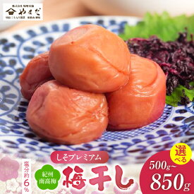 【ふるさと納税】紀州 南高梅 しそ プレミアム 塩分 約6％ 選べる サイズ 500g 850g しそ漬梅干し 風味 残しながら 塩 控えめ 素朴な 味わい ごはん おかゆ うどんトッピング 和え物 アレンジ 梅習慣 梅 梅肉 食品 加工品 お取り寄せ 和歌山県 湯浅町 送料無料