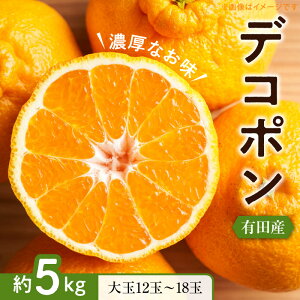 yӂ邳Ɣ[Łzyz ys\z yZzIBLcY   fR| 5kg (12ʁ`18ʓEGȏ)