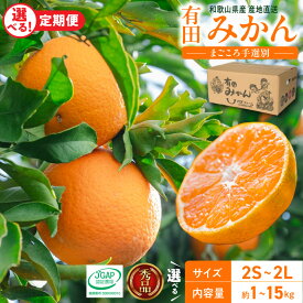 【ふるさと納税】【2026年先行予約】 【TVで紹介されました】 高評価 有田みかん 秀品 選べる サイズ 内容量 配送月 サイズ混合 2S ～ L 1kg ～ 10kg 温州みかん みかん フルーツ 柑橘 果物 デザート 国産 食べ物 期間限定 産地直送 和歌山 和歌山県 湯浅町 送料無料