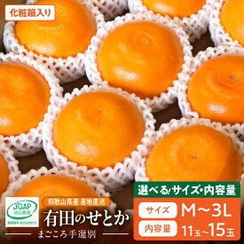 【ふるさと納税】【2027年先行予約】【まごころ手選別】 せとか 化粧箱入り 選べる 内容量 11〜12玉 L〜3Lサイズ 13〜15玉 M〜2Lサイズ サイズ混合 コク 濃厚 ジューシー 理想的 果実 ひとつずつ 手選別 みかん フルーツ お取り寄せ 和歌山県 湯浅町 送料無料