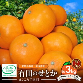 【ふるさと納税】【2027年先行予約】【まごころ手選別】 せとか 約3kg 秀品 Mサイズ 〜 4Lサイズ サイズ混合 コク 濃厚 ジューシー 理想的 果実 ひとつずつ 手選別 みかん 柑橘 フルーツ 果物 デザート お取り寄せ 和歌山県 湯浅町 送料無料