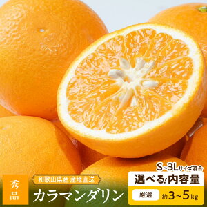 yӂ邳Ɣ[Łzyzy2026Ns\z a̎RY J}_ Gi Iׂ e 3kg 5kg S ` 3L TCY VN ʎ  킢 [  fU[g َq W[X W