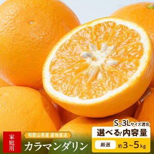 yӂ邳Ɣ[Łzyz y2026Ns\z a̎RY J}_ 󂠂 ƒp Iׂ e 3kg 5kg S ` 3L TCY VN ʎ Â _ oX ▭ ʏ` { t[c ʕ 