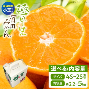 【ふるさと納税】極早生 有田みかん 小玉ちゃん 選べる 内容量 約2.2kg 〜 約5kg 特秀〜青秀 等級混合 4S〜2S サイズ混合 酸味 甘み ミカン 柑橘 温州みかん 和歌山県産 柑橘専業農家 南泰園 手