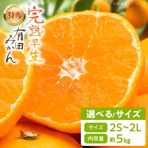 yӂ邳Ɣ[Łzn Lc݂ wGx Iׂ TCY 2S ` 2L  5kg ׉ ݂ ݂ Ӑ݂ k  a̎R  