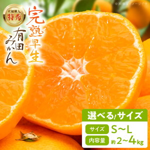 yӂ邳Ɣ[Łzn Lc݂ ϔ wGx Iׂ TCY S ` L  2kg ` 4kg ~J ׉ ݂ ݂ Ӑ݂ Mtgp k  a̎R  