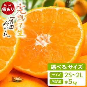 yӂ邳Ɣ[ŁzN Ə n Lc݂ Iׂ TCY 2S ` 2L  5kg ׉ ݂ ݂ Ӑ݂ k  a̎R  