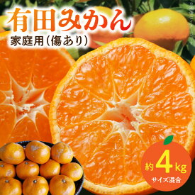 【ふるさと納税】【限定】 家庭用有田みかん（傷あり）約4kg（サイズ混合） ふるさと納税 みかん