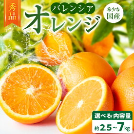 【ふるさと納税】【2027年先行予約】 国産 バレンシアオレンジ 選べる 内容量 約 2.5kg 5kg 7kg 希少 秀品 果汁 豊富 糖度 高い 甘い 爽快感 香り 酸味 味わい スッキリ オレンジ 柑橘 果物 果実 フルーツ ジュース デザート お取り寄せ 和歌山県 湯浅町 送料無料