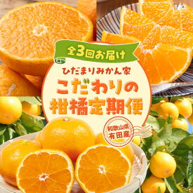 【ふるさと納税】こだわり 柑橘 定期便 ひだまりみかん家 3回 お届け 生産者直送 手選別 有田みかん 不知火 清見オレンジ 3種類 約 5 kg みかん 果汁 濃縮 コク うまみ 甘み 果肉 完熟 オレンジ ジューシー 爽やかな香り お取り寄せ 和歌山県 湯浅町 送料無料