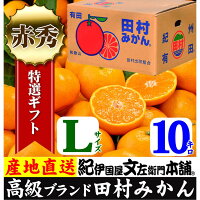 【ふるさと納税】田村みかん/ギフト選別5キロ赤秀(特選品)【Lサイズ】紀州和歌山有田郡湯浅町田村地区産(赤秀S=約60果前後)最高級プレミアムブランドの田村ミカン/お歳暮・お年賀に