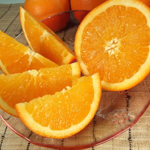 �y�ӂ邳�Ɣ[�Łz�y����z �l�[�u�� ��7kg �a�̎R���L�c�Y �t�݂��� (�ʎ��T�C�Y���܂���) �t�݂��� �I�ɍ��������q��{��