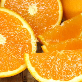 【ふるさと納税】【限定】【2027年先行予約】 清見オレンジ 約 5kg サイズおまかせ 春みかん 甘い 香り高い ジューシー みかん 清見 オレンジ フルーツ 果物 果実 デザート 食品 食べ物 グルメ 紀伊国屋文左衛門本舗 お取り寄せ お取り寄せフルーツ 和歌山県 湯浅町 送料無料