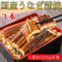 【ふるさと納税】ふっくら柔らかうなぎ蒲焼き大型サイズ3尾(1尾当たり約200g前後)