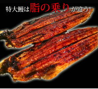 【ふるさと納税】ふっくら柔らかうなぎ蒲焼き大型サイズ3尾(1尾当たり約200g前後)