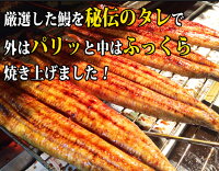 【ふるさと納税】ふっくら柔らかうなぎ蒲焼き大型サイズ3尾(1尾当たり約200g前後)