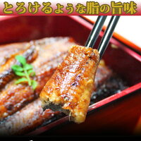 【ふるさと納税】ふっくら柔らかうなぎ蒲焼き大型サイズ2尾(1尾当たり約180g前後)