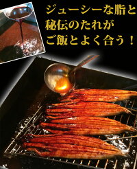 【ふるさと納税】ふっくら柔らかうなぎ蒲焼き大型サイズ3尾(1尾当たり約200g前後)