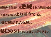 【ふるさと納税】ふっくら柔らかうなぎ蒲焼き大型サイズ3尾(1尾当たり約200g前後)