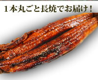 【ふるさと納税】ふっくら柔らかうなぎ蒲焼き大型サイズ3尾(1尾当たり約200g前後)