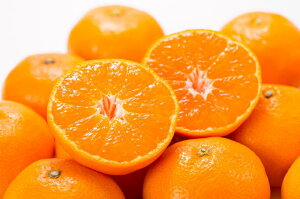 ブランド有田みかん【S】秀品5kg産地直送薄皮で甘い美味しい和歌山県産紀伊国屋文左衛門本舗