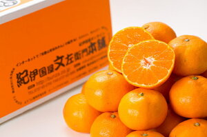 ブランド有田みかん【S】秀品5kg産地直送薄皮で甘い美味しい和歌山県産紀伊国屋文左衛門本舗