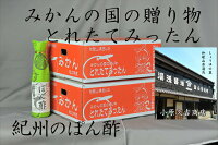 返礼品画像