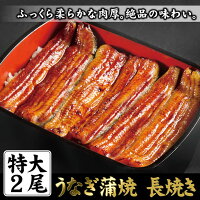 国産うなぎ蒲焼特大サイズ2尾セット(有頭)【冷凍】紀伊国屋文左衛門本舗