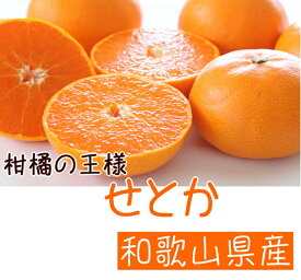 【ふるさと納税】【2027年先行予約】【限定】柑橘の王様 和歌山有田の濃厚せとか 4〜5kg【ミカン 蜜柑 春みかん 柑橘】