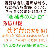 返礼品画像